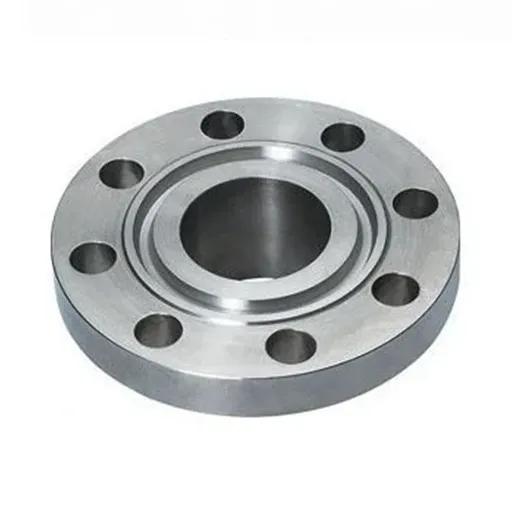 Titanium Grade 2 Ring Type Joint Flange